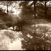 Sepia Fisher Photo 3