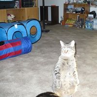 Roberta Olson Photo 4