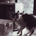 Courtney Hebert Photo 18