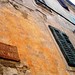 Vincenzo Arrigo Photo 1