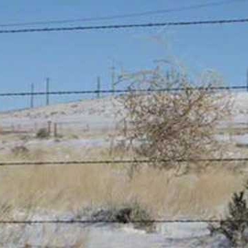 Colleen Harrison Photo 46