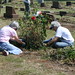 Sherry Carlson Photo 9