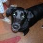 Jackie Gill Photo 24