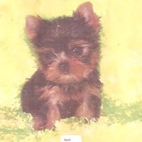 Yvette Roberson Photo 5