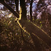 Diana Moss Photo 20