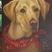 Lori Cody Photo 24