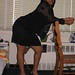 Sheri James Photo 15