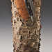 James Mcabee Photo 34