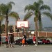 Beverly Gardner Photo 24