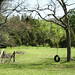 Kelli Robinson Photo 10