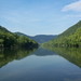 Virginia Mccreery Photo 11
