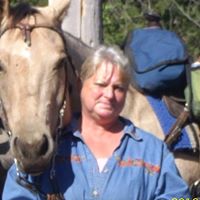 Connie Schmitz Photo 19