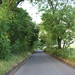 Brandy Lane Photo 28