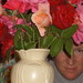 Ruth Rose Photo 36