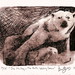 Anna Myers Photo 40