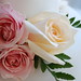Stephanie Helms Photo 31