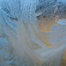 Jack Frost Photo 17