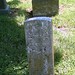 Lawrence Tuttle Photo 18