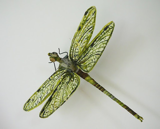 Anne Duncan Photo 13