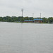 Carol Flood Photo 25