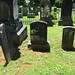 Sharon Lloyd Photo 16