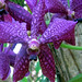Nancy Mahler Photo 25