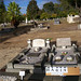 Harold Sanders Photo 23
