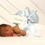 Antoinette Williamson Photo 12