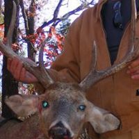 Allen Wolfe Photo 14