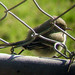 Barbara Gray Photo 28