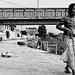 Ravi Sharma Photo 48
