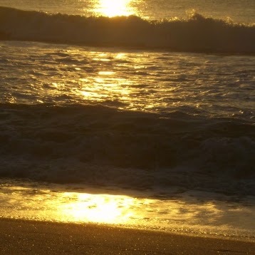 Jeanne Poole Photo 24