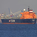 Mary Carrier Photo 15