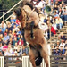 Cara Lucero Photo 8