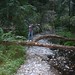 Anne Hopper Photo 21