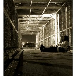 Steve Robles Photo 16