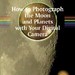 Philip Moore Photo 18