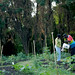 Carolyn Sweat Photo 8