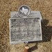 Jane Langford Photo 21