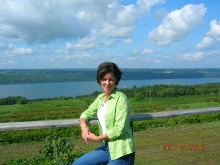 Suzanne Phillips Photo 19