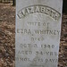 Elizabeth Ingle Photo 24