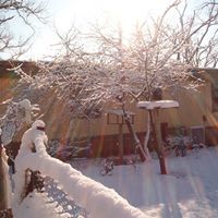 Loretta Wilkerson Photo 5