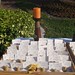 Susan Southerland Photo 16