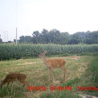 Susan Schuster Photo 32