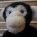 Sandy Felts Photo 15
