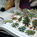 Alice Goodman Photo 26