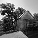 Martin Scott Photo 9