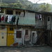 Michael Leis Photo 25