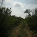 Joel Locke Photo 14
