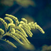 Rich Summers Photo 6